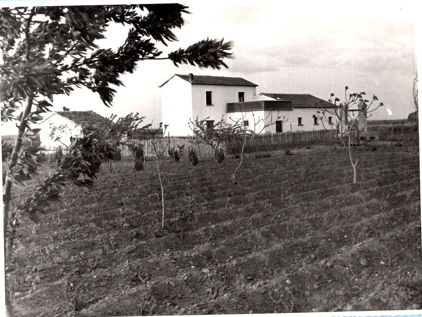Fabbricati e campi coltivati